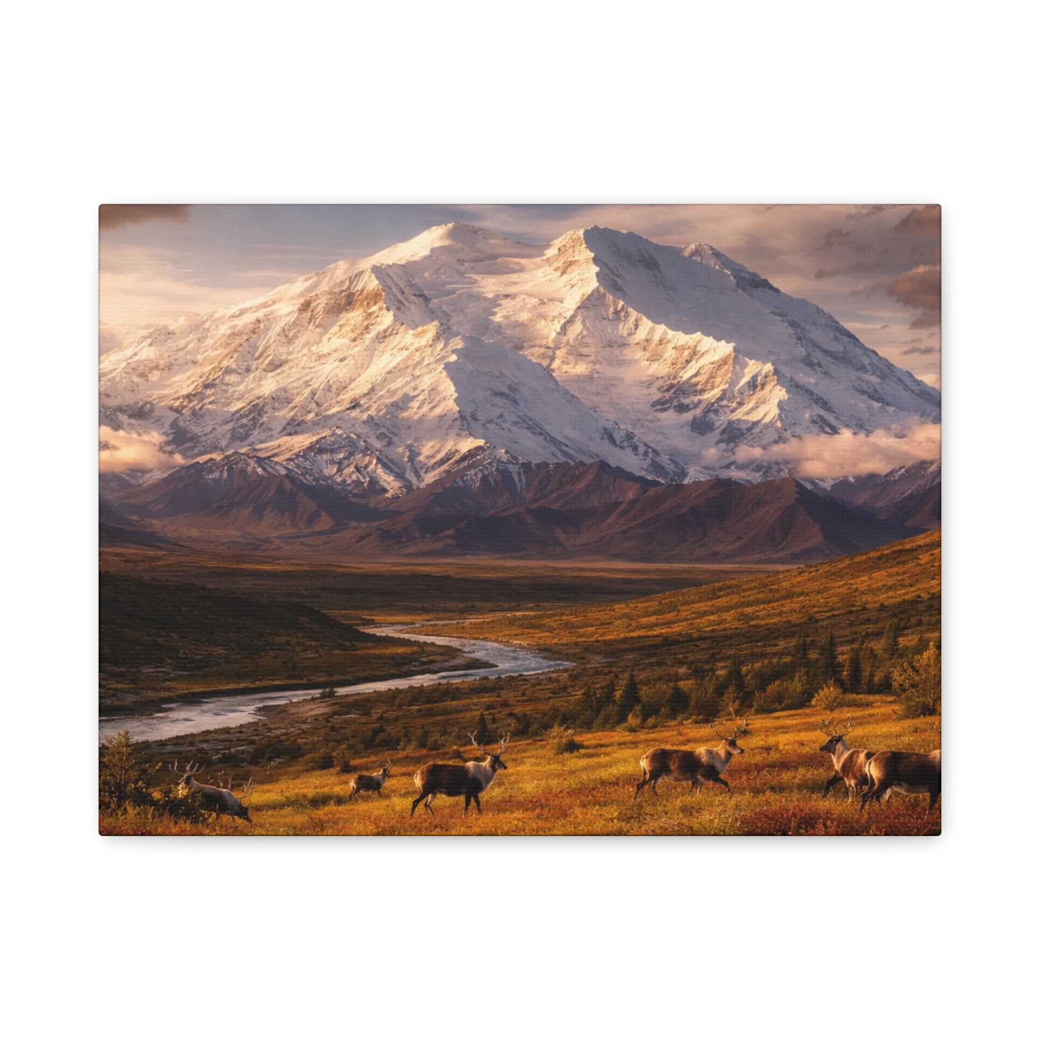 Denali Peak - Matte Canvas