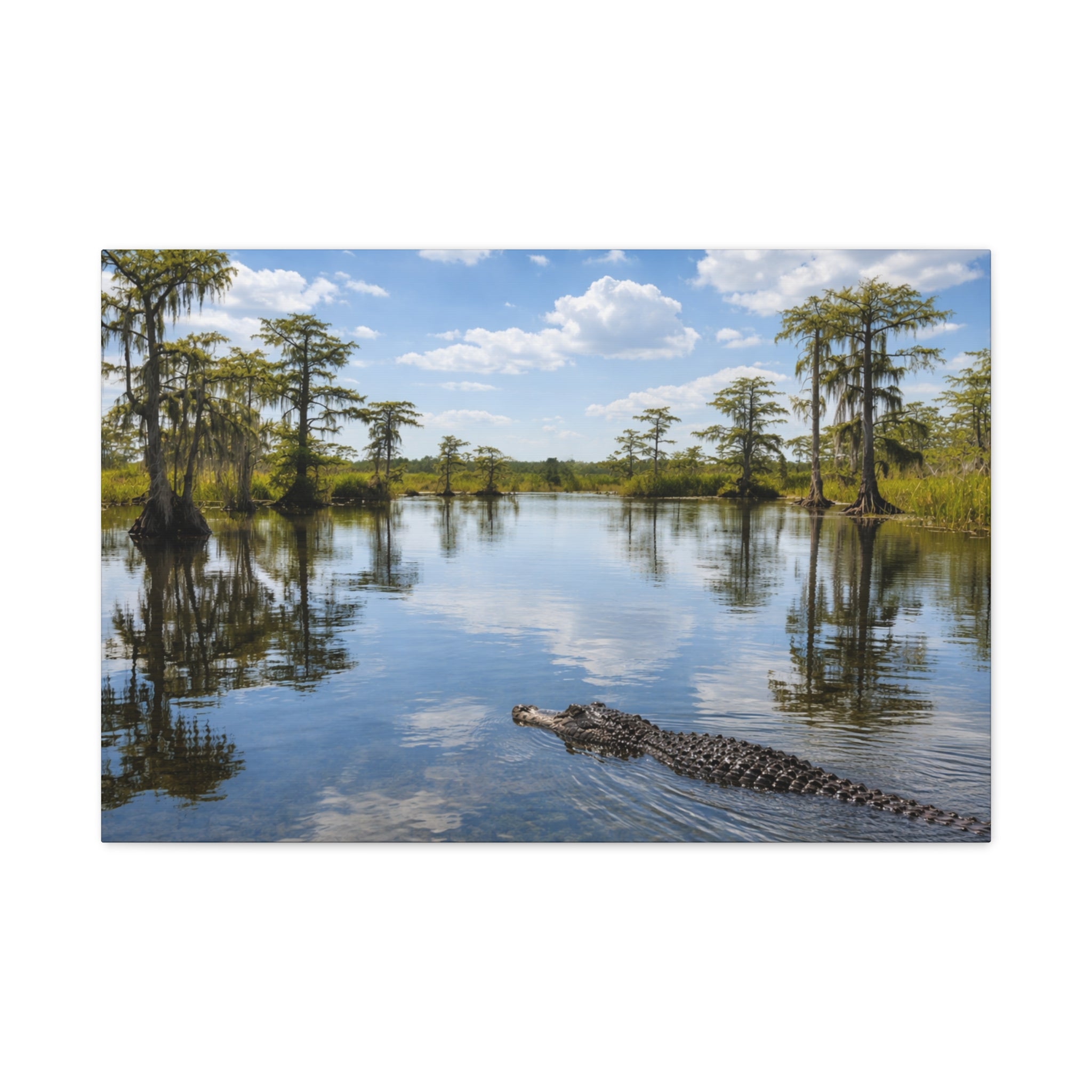 Florida Everglades - Matte Canvas