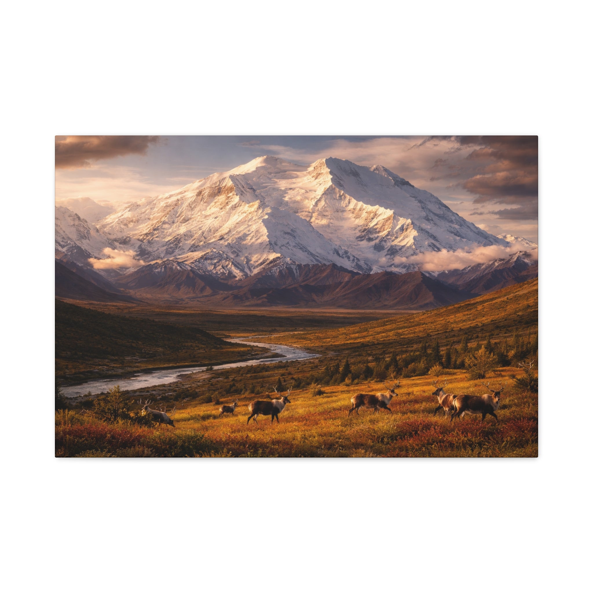 Denali Peak - Matte Canvas