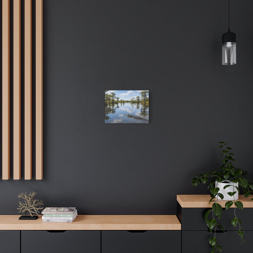 Florida Everglades - Matte Canvas