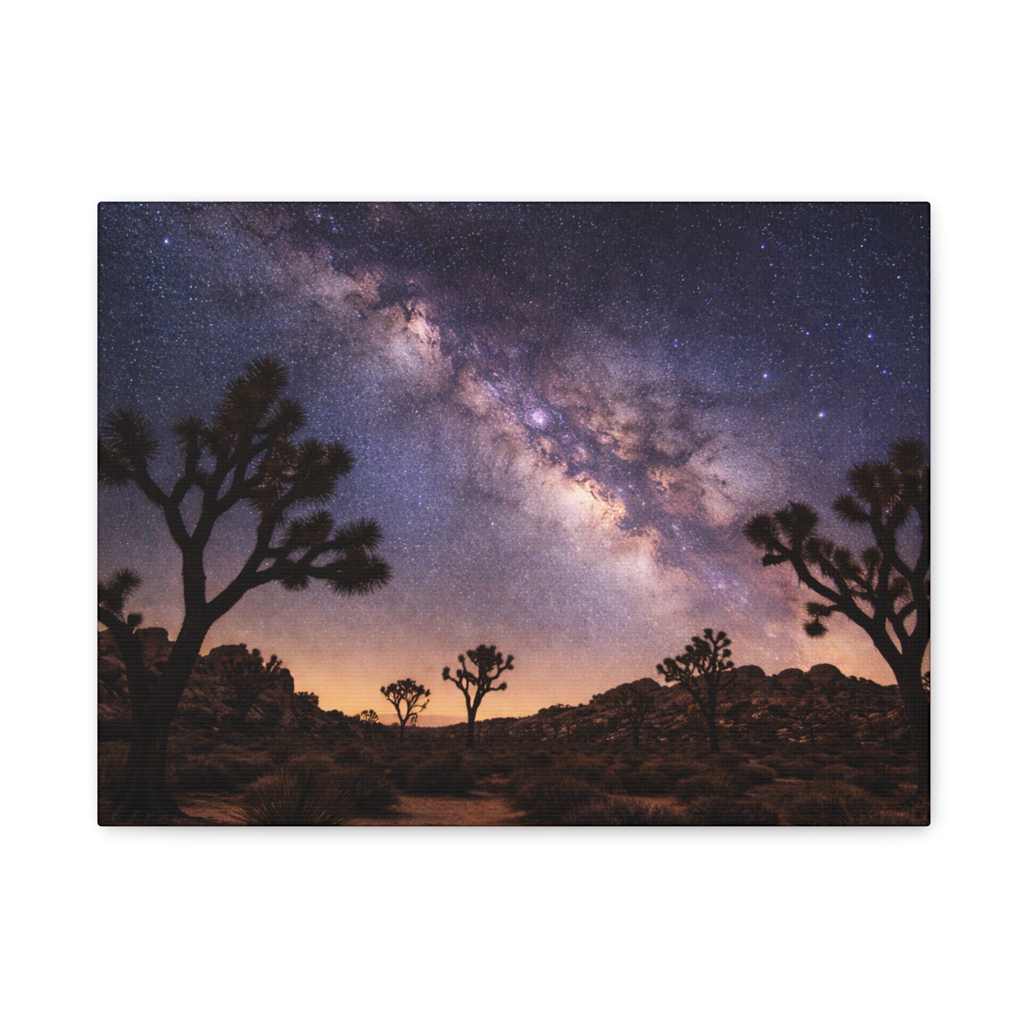 Joshua Tree National Park - Matte Canvas